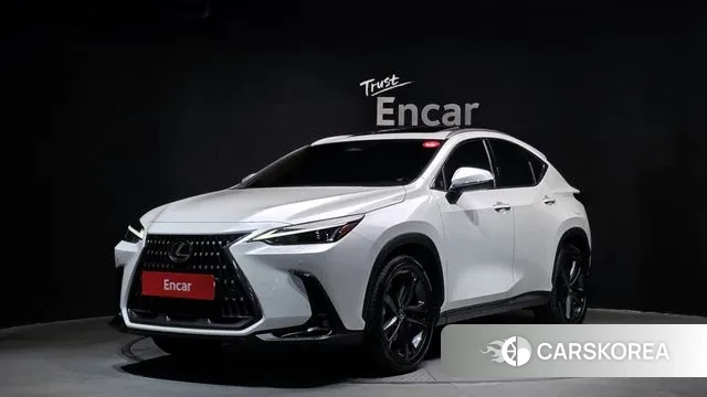 Lexus NX350h Second generation 2024 Белый из Кореи