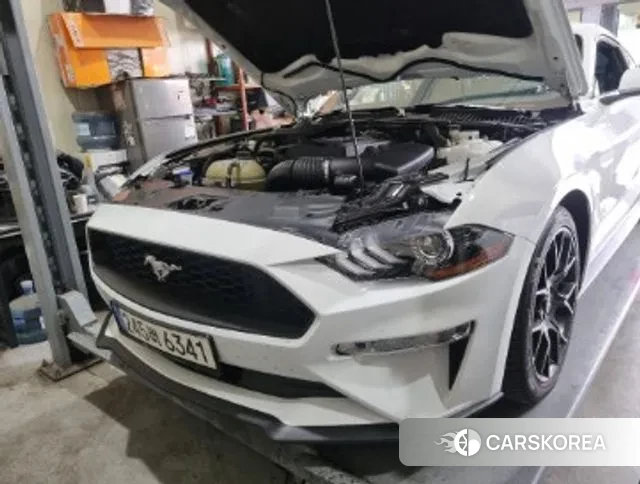 Ford Mustang 2023 Белый из Кореи