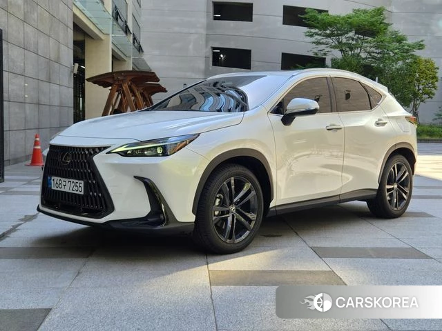 Lexus NX350h Second generation 2025 Белый из Кореи
