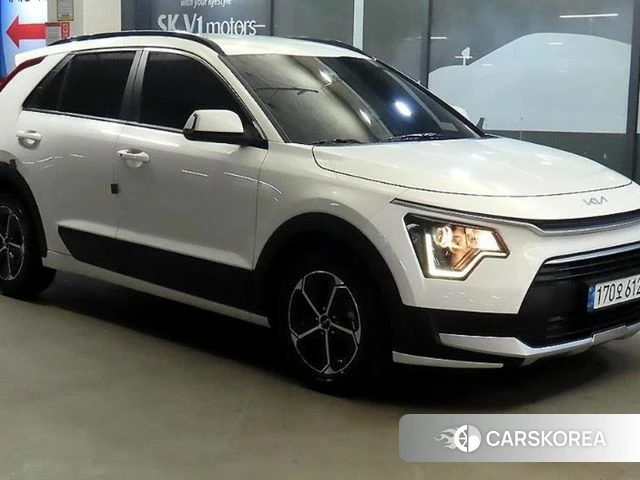 Kia Di Ol Nu Niro 2022 Белый из Кореи