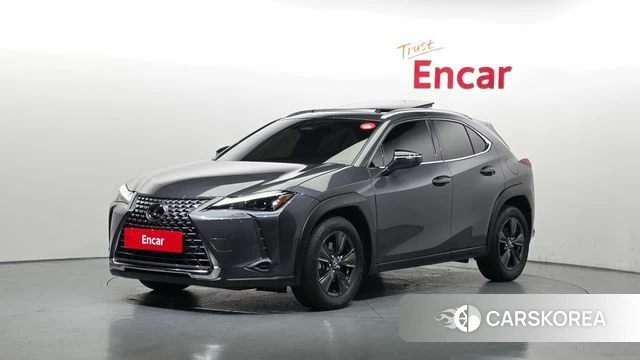 Lexus UX300h 2024 Серый из Кореи
