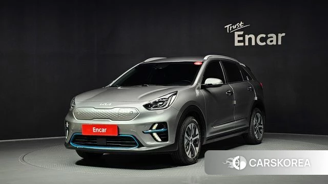 Kia Niro EV 2021 Серый из Кореи