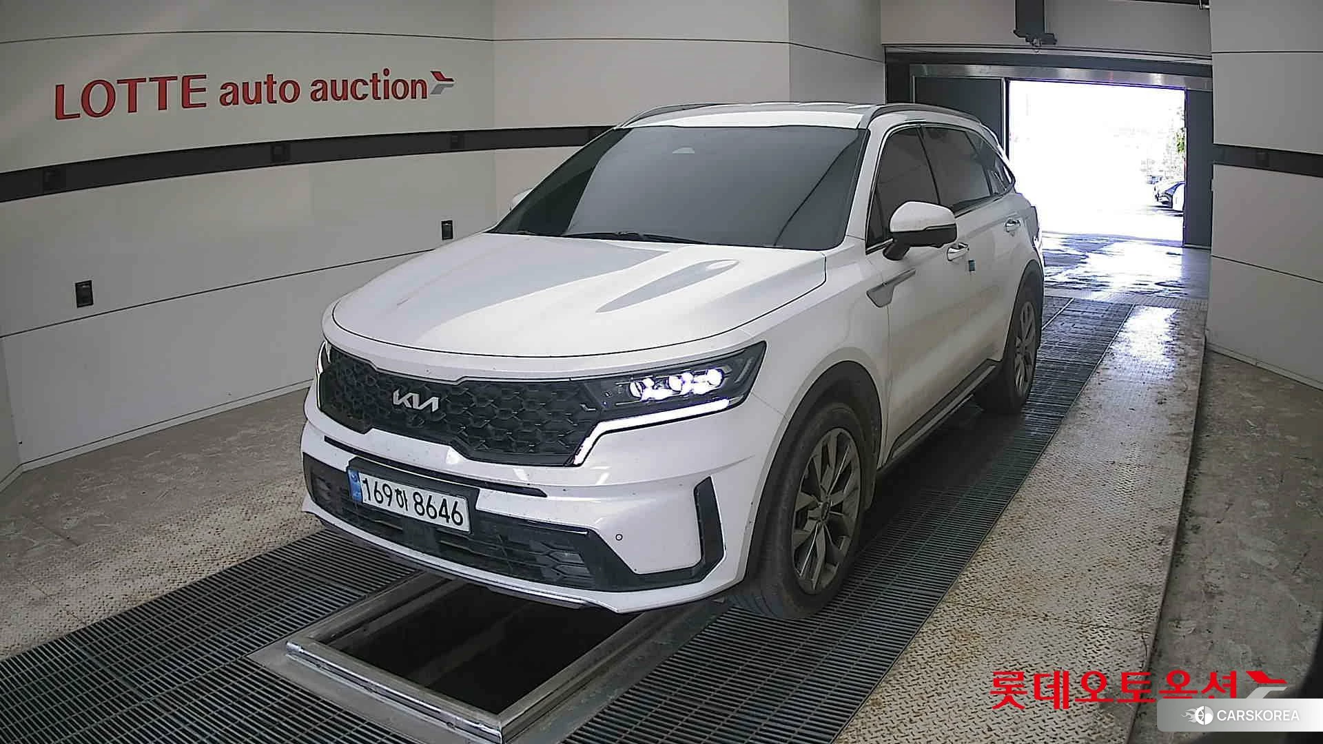 Kia Sorento 2022 Snow White Pearl (optional) из Кореи