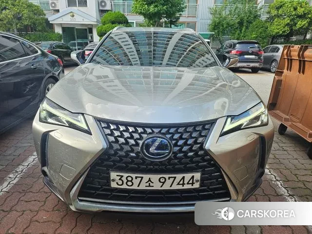 Lexus UX250h 2021 Серебряный из Кореи