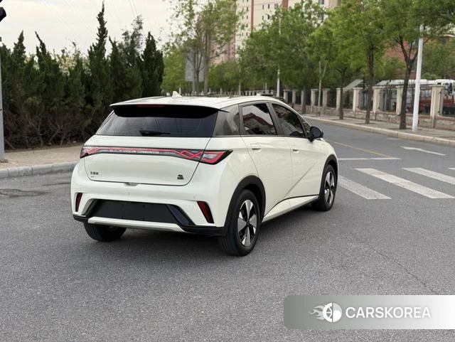 BYD dolphin 2023 Белый из Китая