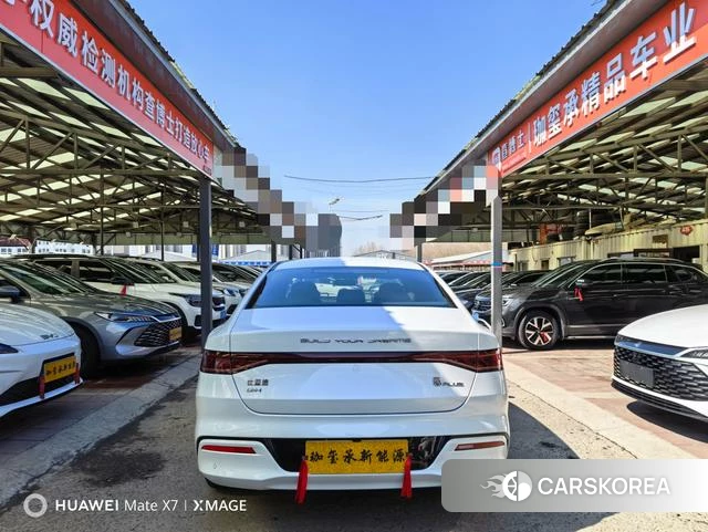 BYD Qin PLUS DM 2024 Белый из Китая