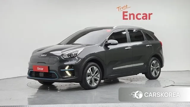 Kia Niro EV 2021 Серый из Кореи
