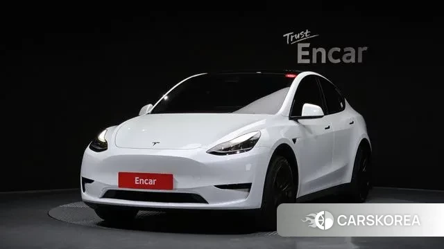 Tesla Model Y 2023 Белый из Кореи