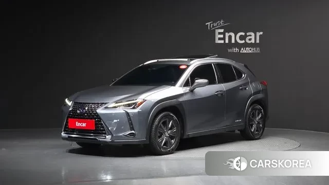 Lexus UX250h 2019 Серый из Кореи
