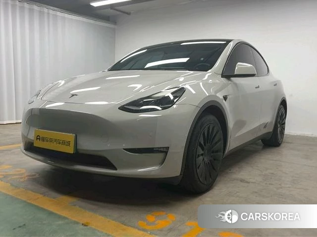 Tesla Model Y 2021 Темно-серый из Китая