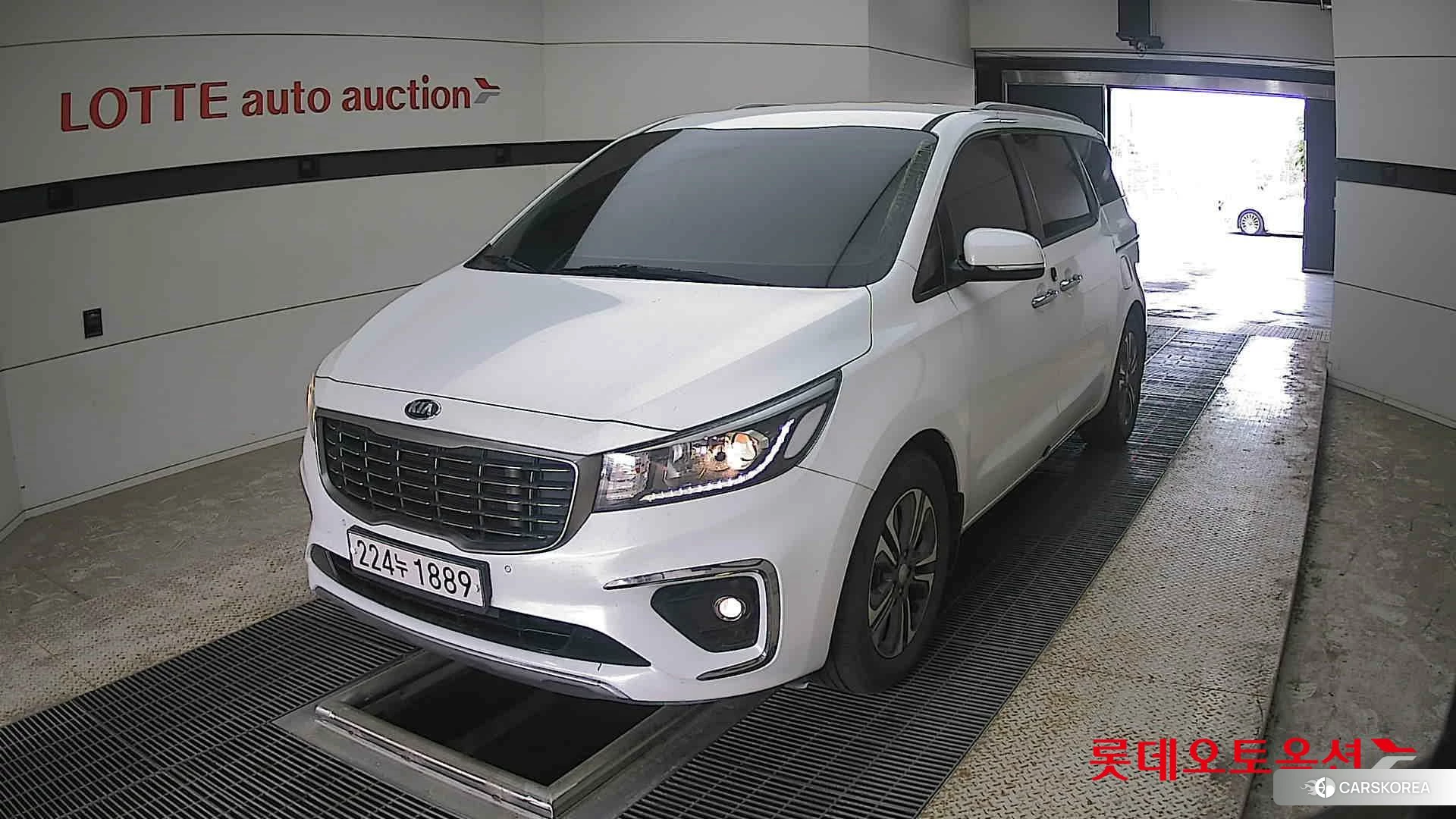 Kia Carnival 2019 Белый из Кореи