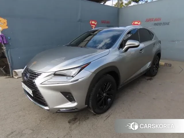 Lexus NX300h 2018 Серый из Кореи