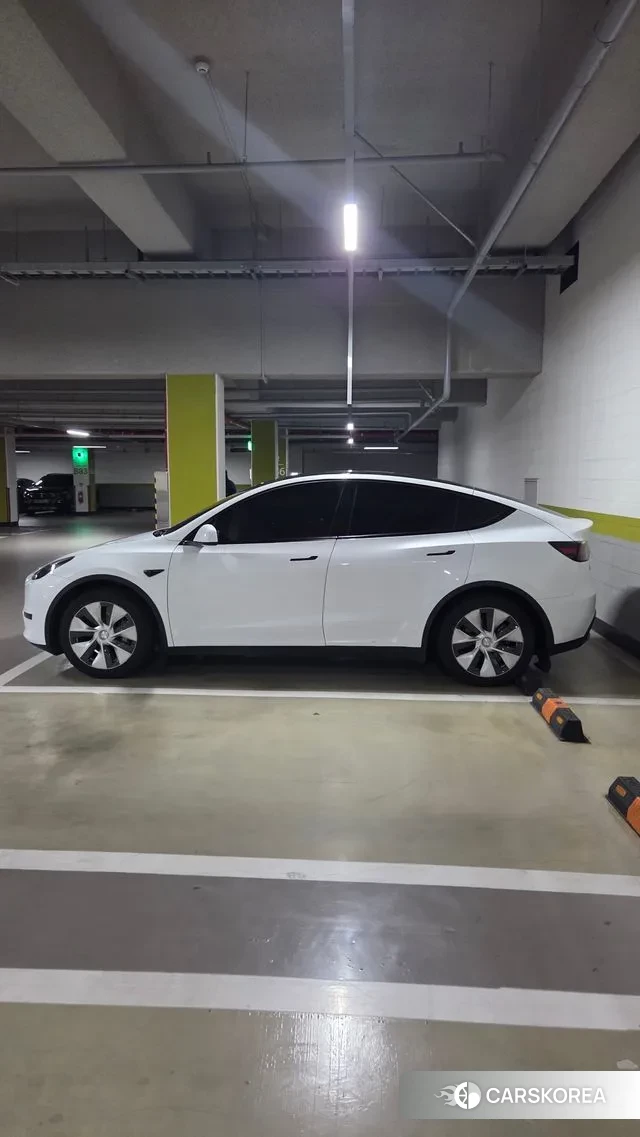 Tesla Model Y 2023 Белый из Кореи