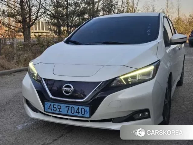 Nissan Leaf (ZE1) 2019 Белый из Кореи