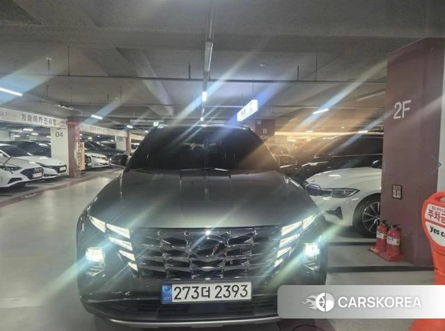 Hyundai Tucson (NX4) 2023 Серый из Кореи