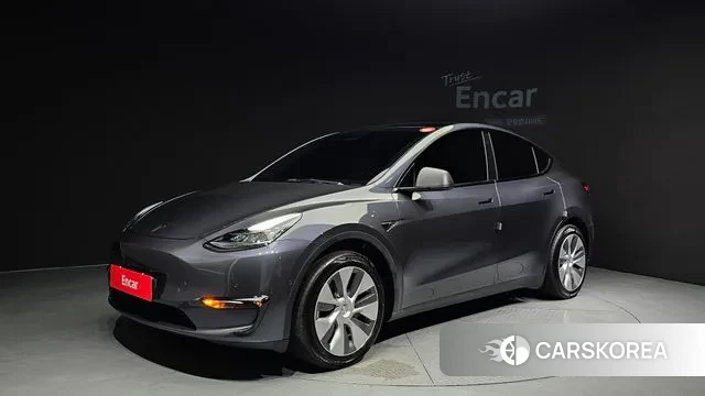 Tesla Model Y 2021 Серый из Кореи