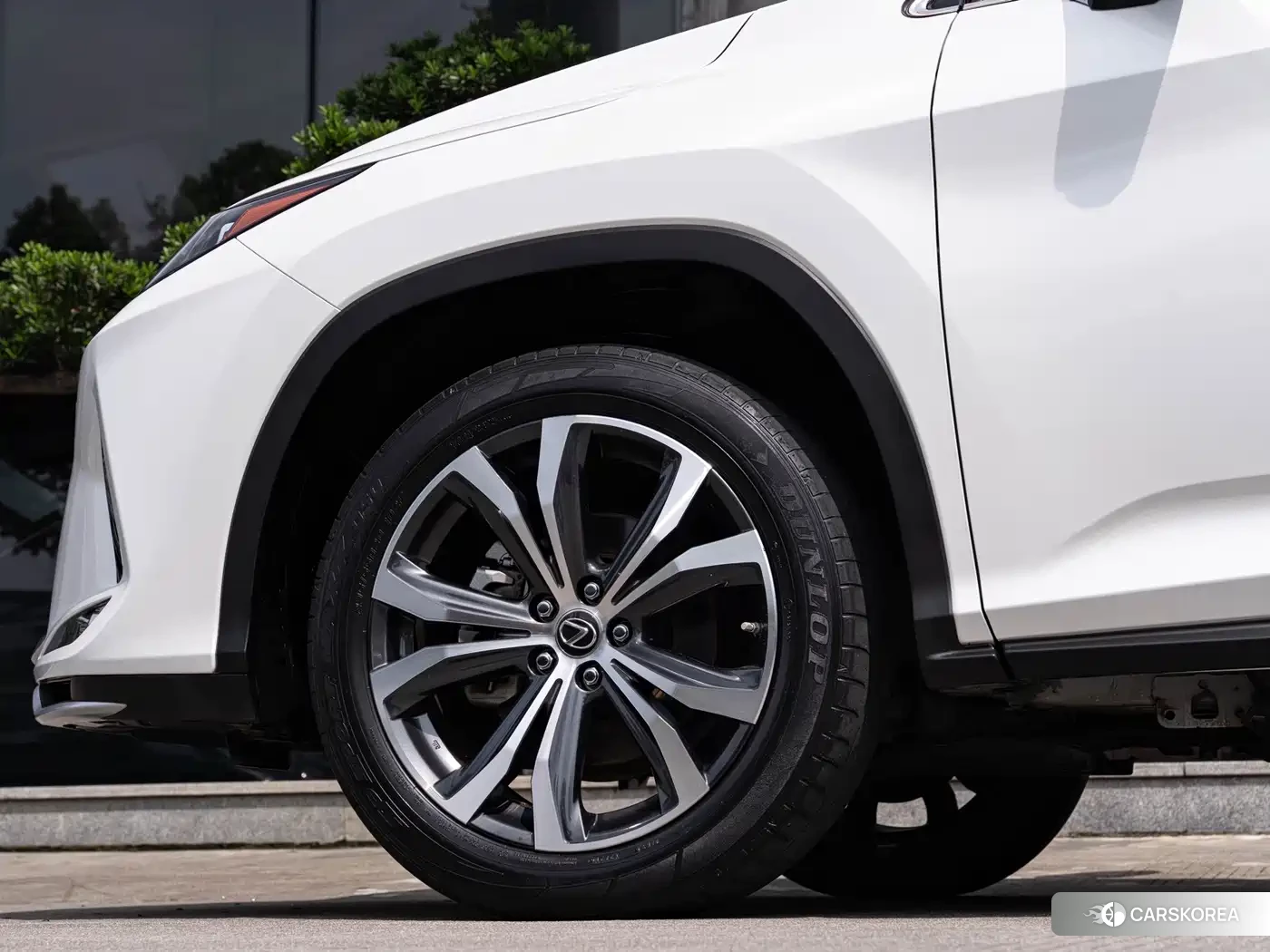 Lexus RX 2021 Белый из Китая