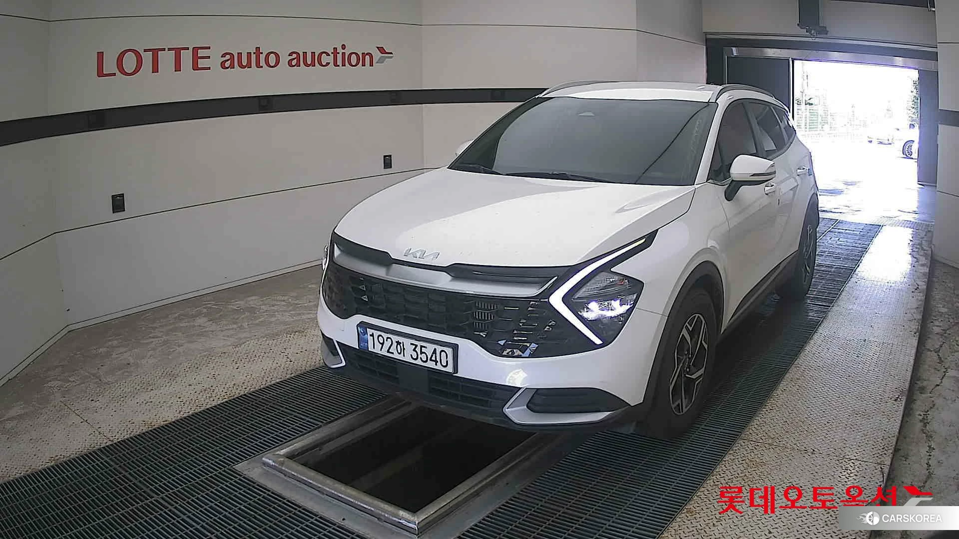 Kia Sportage 2023 Snow White Pearl (optional) из Кореи