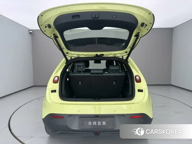 firefly firefly Unknown 2025 Желтый из Китая