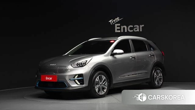 Kia Niro EV 2021 Серый из Кореи