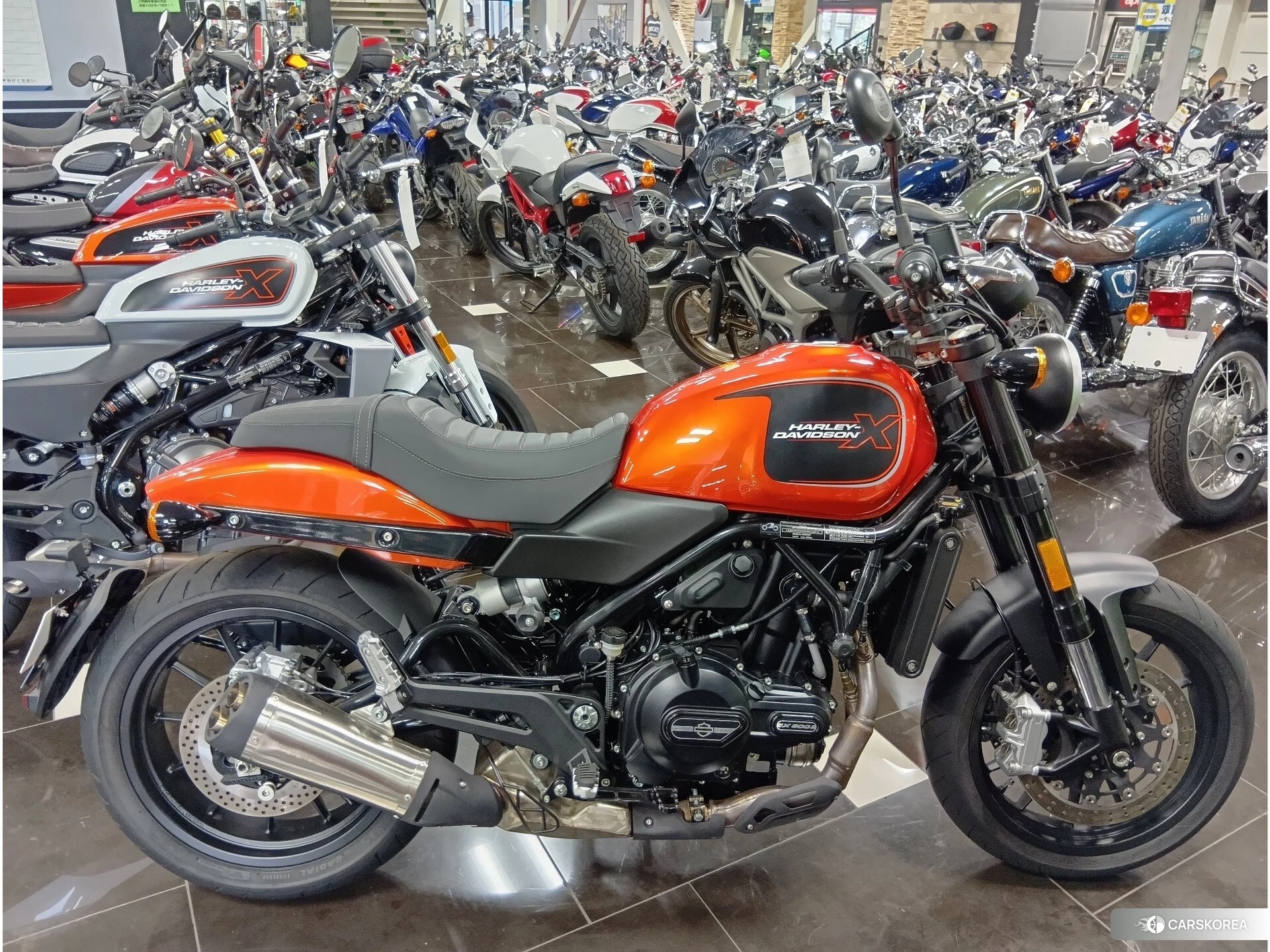 Harley-Davidson X500 2024 из Японии