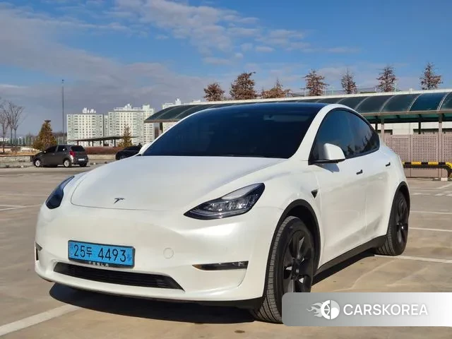 Tesla Model Y 2021 Белый из Кореи
