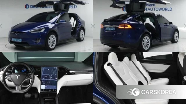 Tesla Model X 2020 Синий из Кореи