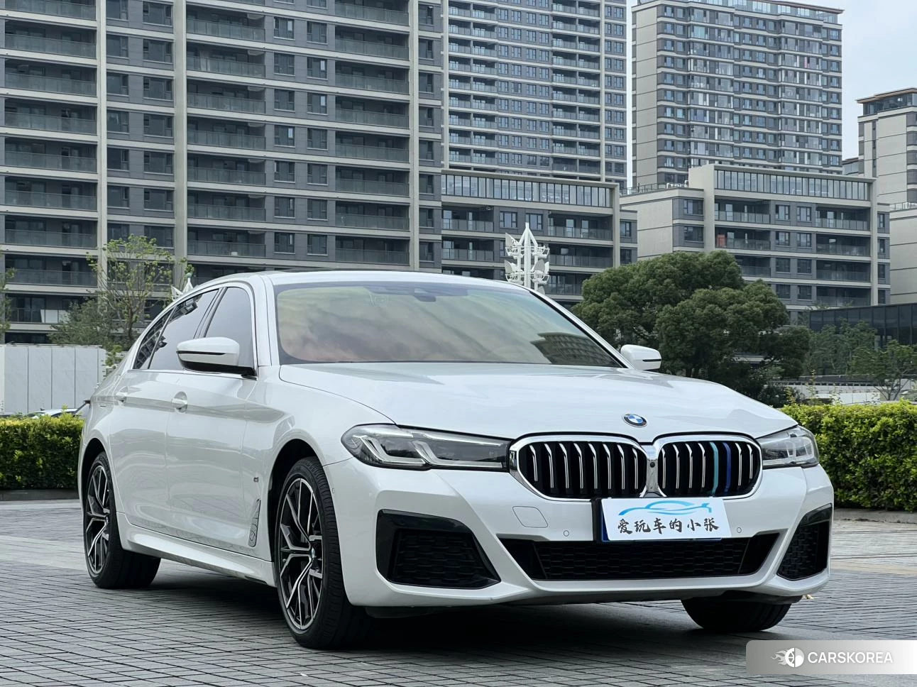 BMW 5 series 2020 Белый из Китая