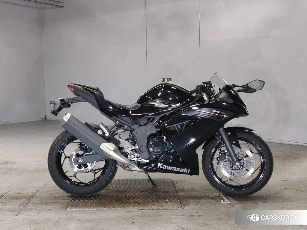 Проданный Kawasaki NINJA 250SL 2016 из Японии