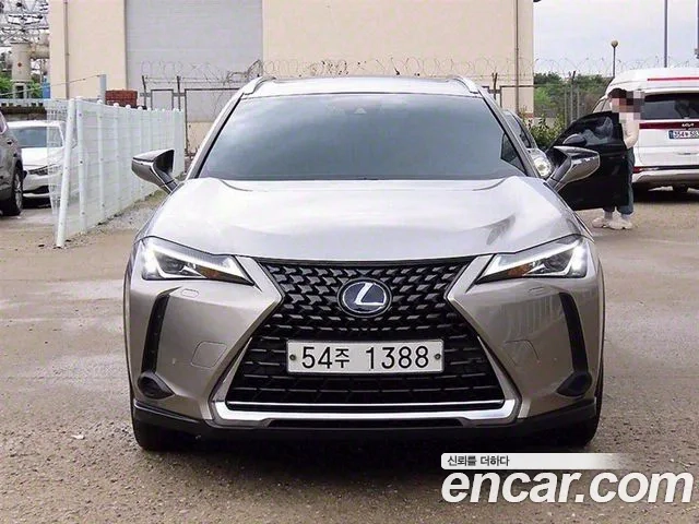 Lexus UX250h 2019 Серый из Кореи