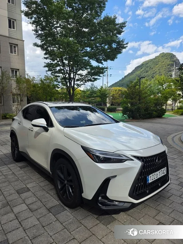 Lexus NX350h Second generation 2024 Белый из Кореи