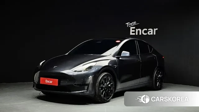 Tesla Model Y 2025 Серый из Кореи
