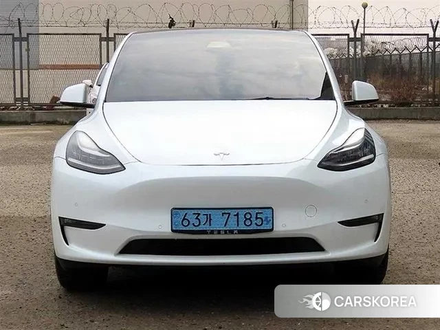 Tesla Model Y 2021 Белый из Кореи