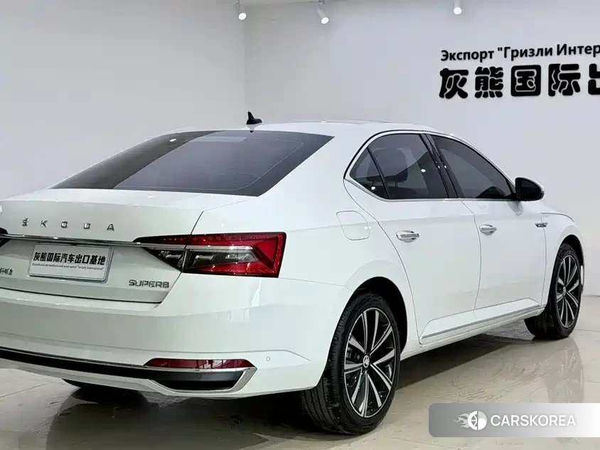 Skoda Speed pie 2023 Белый из Китая