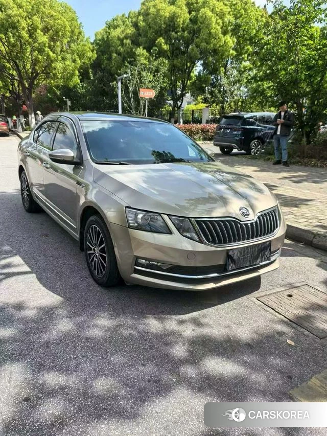 Skoda Octavia 2018 Шампань из Китая
