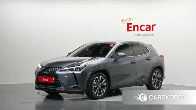 Lexus UX250h 2019 Серый из Кореи