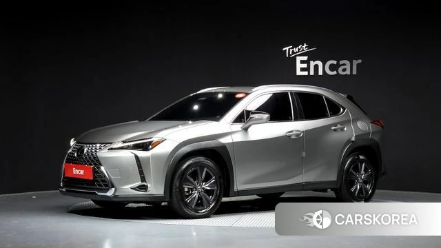 Lexus UX300h 2024 Серый из Кореи