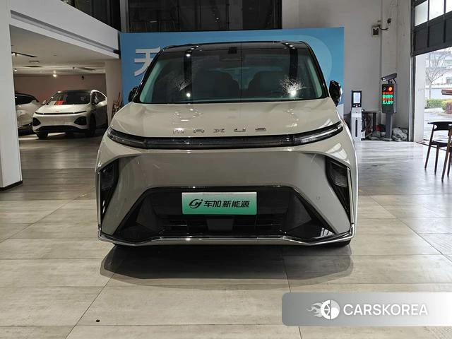 Chase Everyone 9 EV 2024 Серебристо-серый из Китая