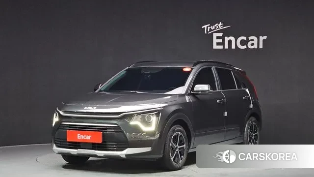 Kia Di Ol Nu Niro 2024 Серый из Кореи