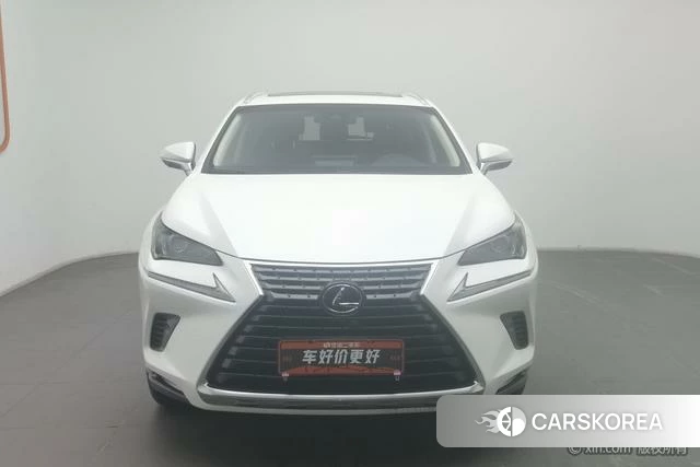 Lexus NX 2019 Белый из Китая