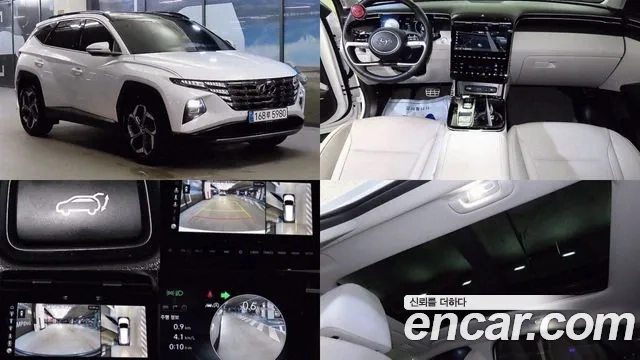 Hyundai Tucson (NX4) 2023 Белый из Кореи