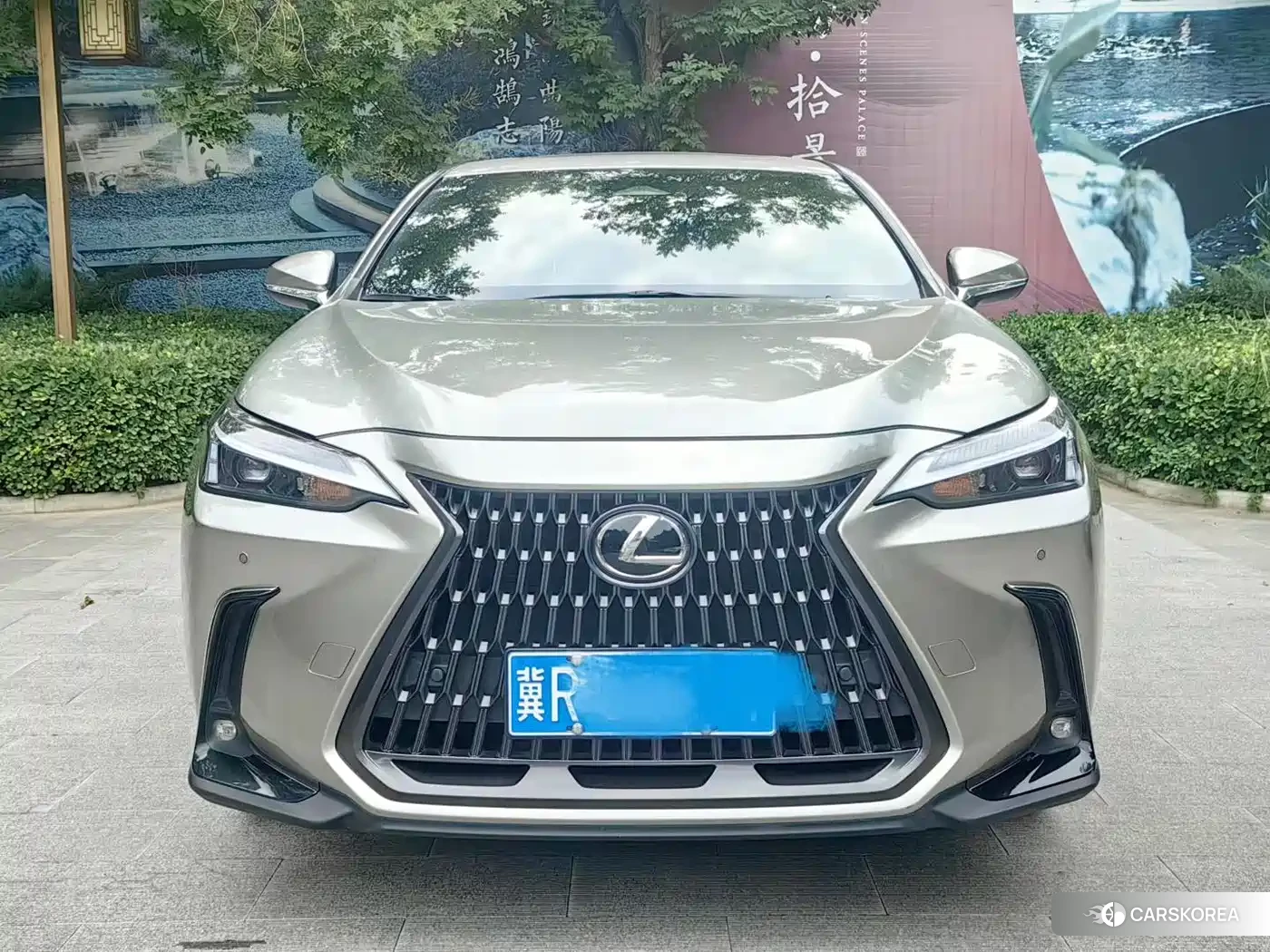Lexus NX 2023 Зеленый из Китая