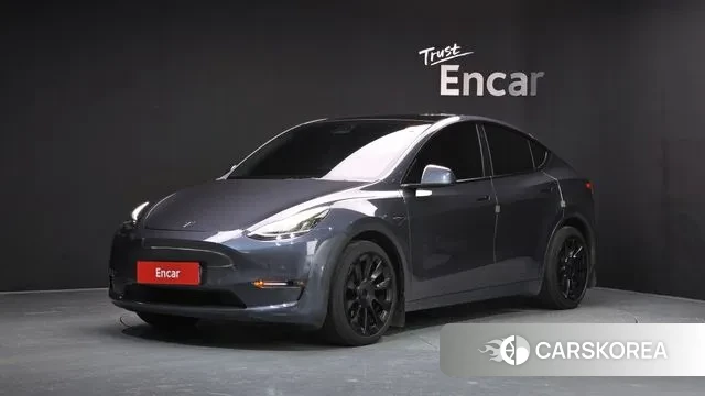 Tesla Model Y 2021 Серый из Кореи