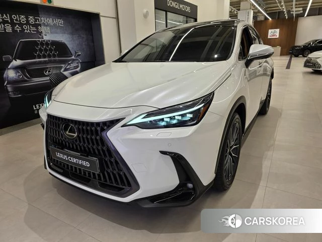 Lexus NX350h Second generation 2023 Белый из Кореи
