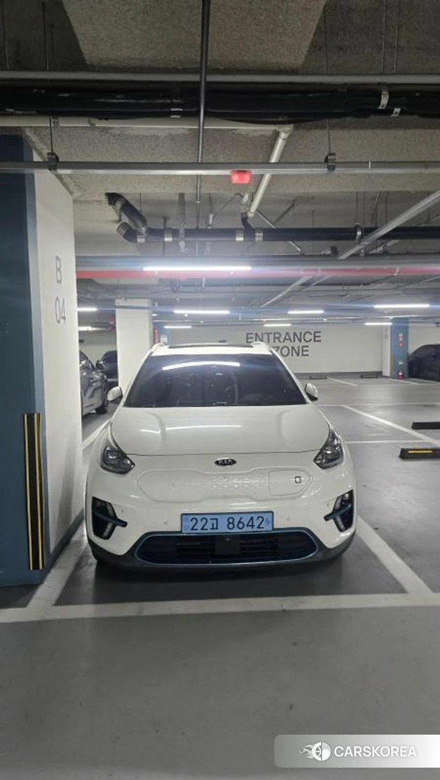 Kia Niro EV 2019 Белый из Кореи
