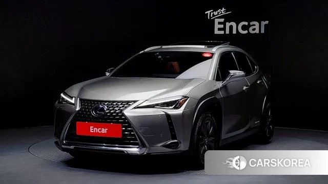 Lexus UX250h 2019 Серый из Кореи