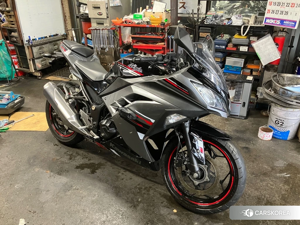 Проданный OTHER Ninja 250 ABS SE 2013 из Японии