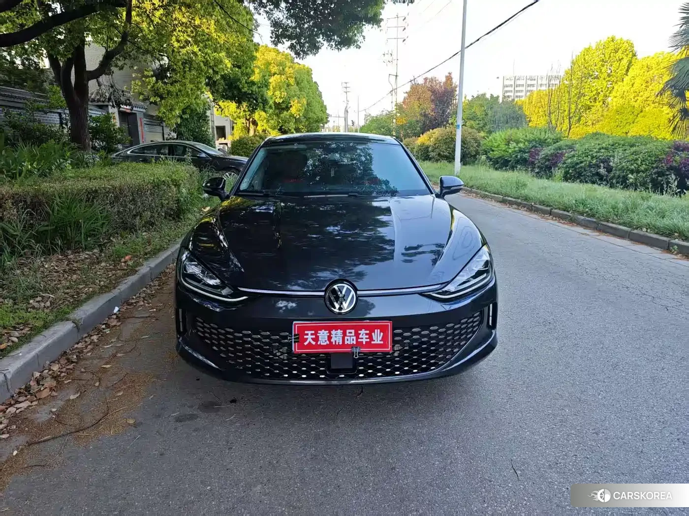 Volkswagen Lamando 2023 Silver/gray из Китая