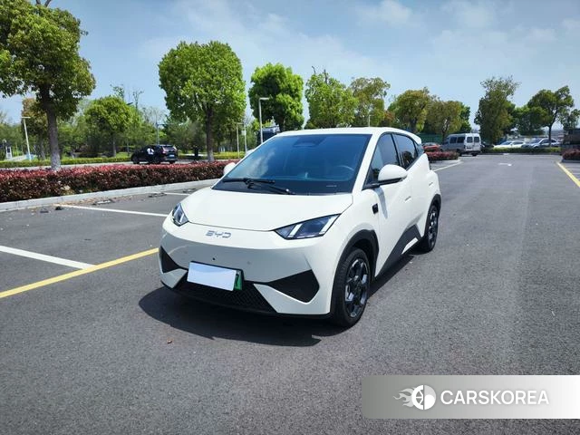 BYD Seagull 2025 Белый из Китая