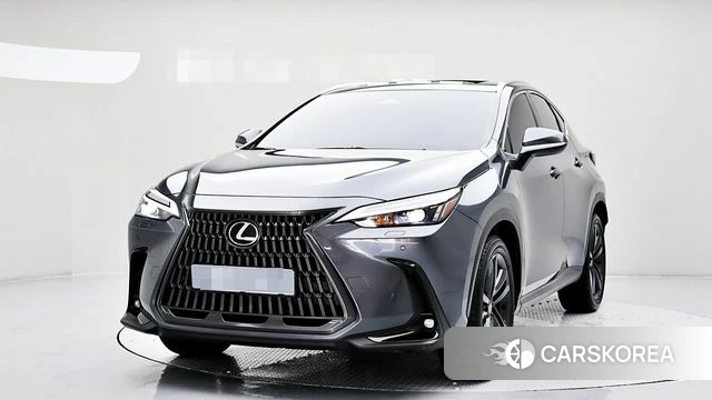 Lexus NX350h Second generation 2024 Серый из Кореи